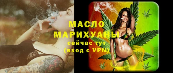 стаф Аркадак