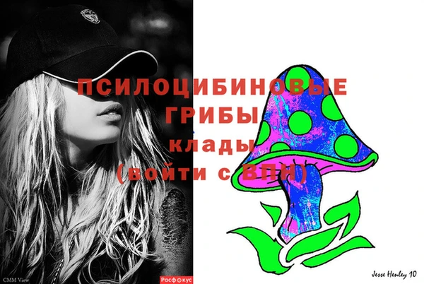 стаф Аркадак