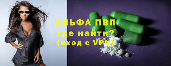 стаф Аркадак
