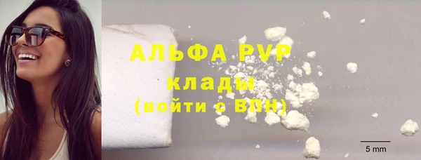 стаф Аркадак