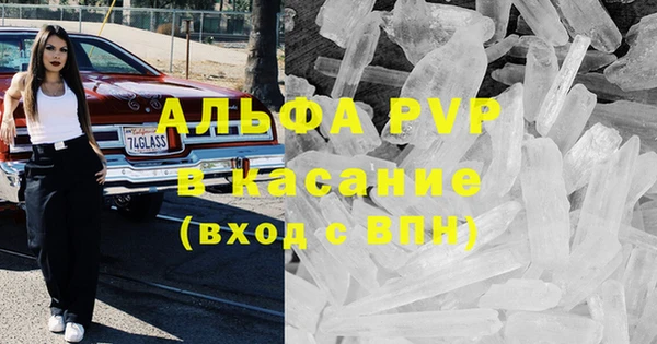 стаф Аркадак